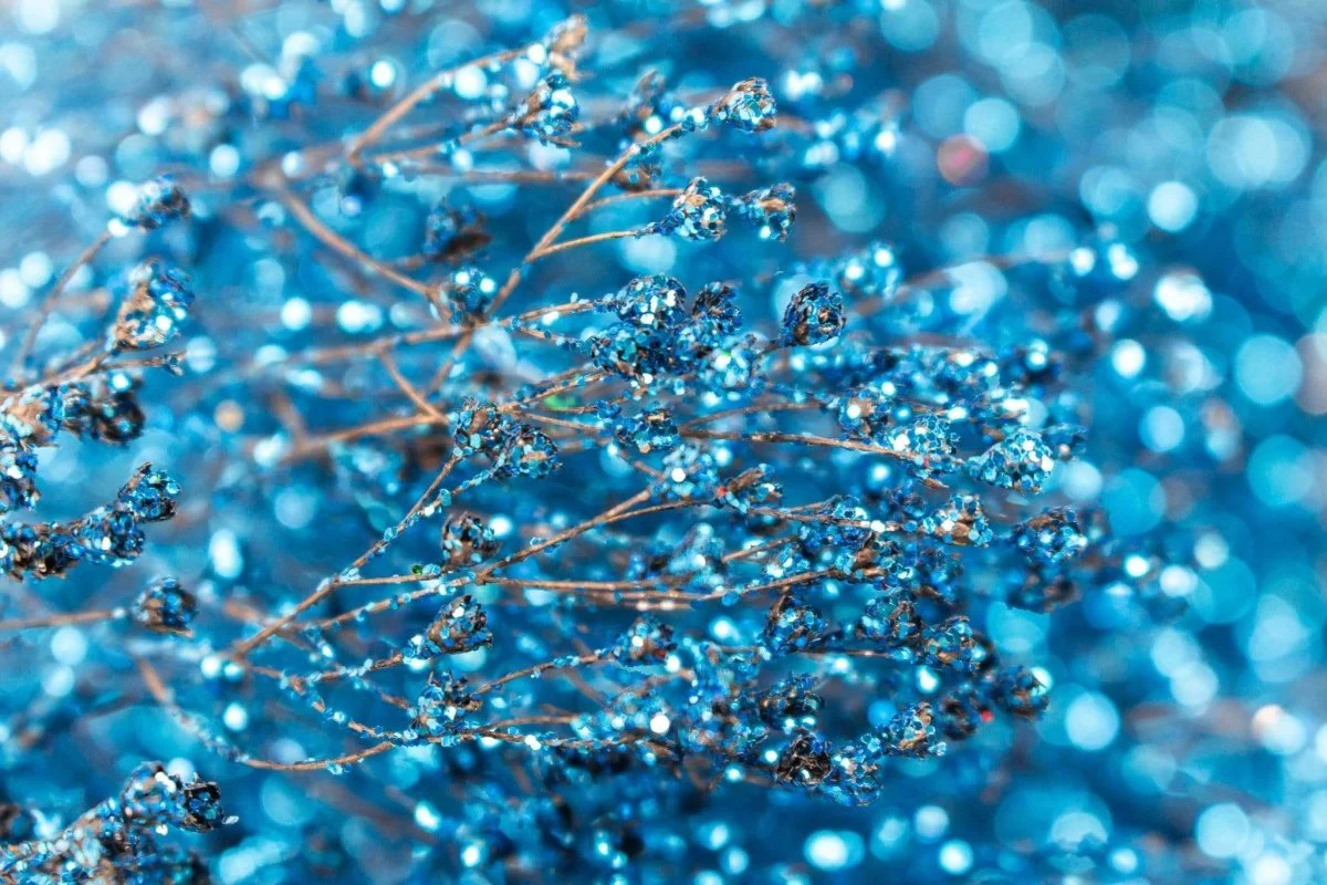 Broom Bloom - Icy Sparkle - Image 2