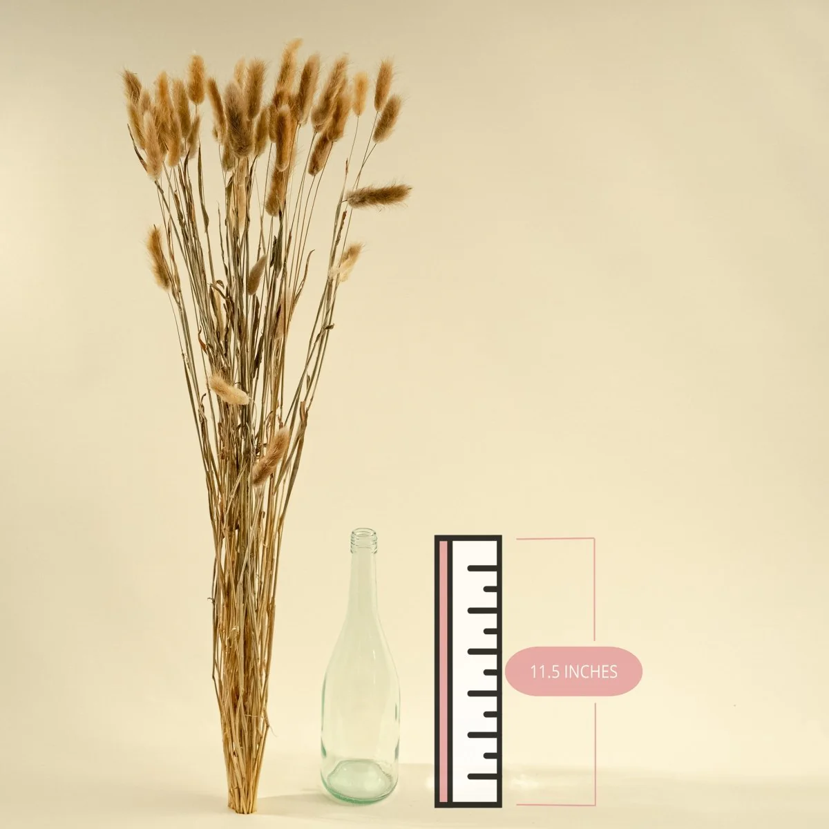 Bunny Tails (Natural) - Image 2