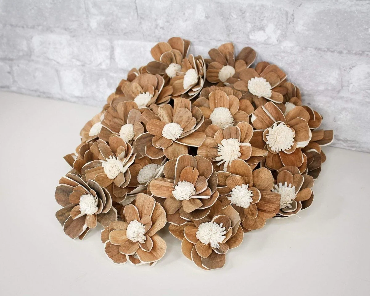 3" Coco - 50 Pack - Image 10