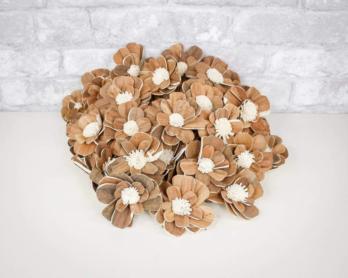 3" Coco - 50 Pack - Image 11