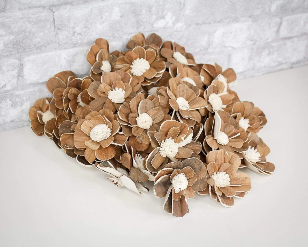 3" Coco - 50 Pack - Image 12