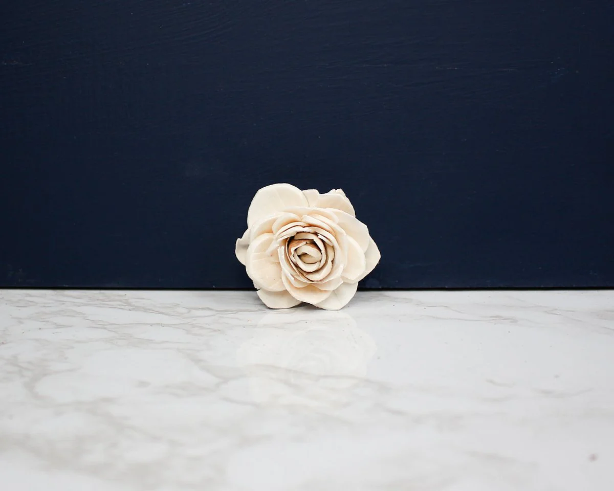 1.5" Josey (10 Pack) - Image 2