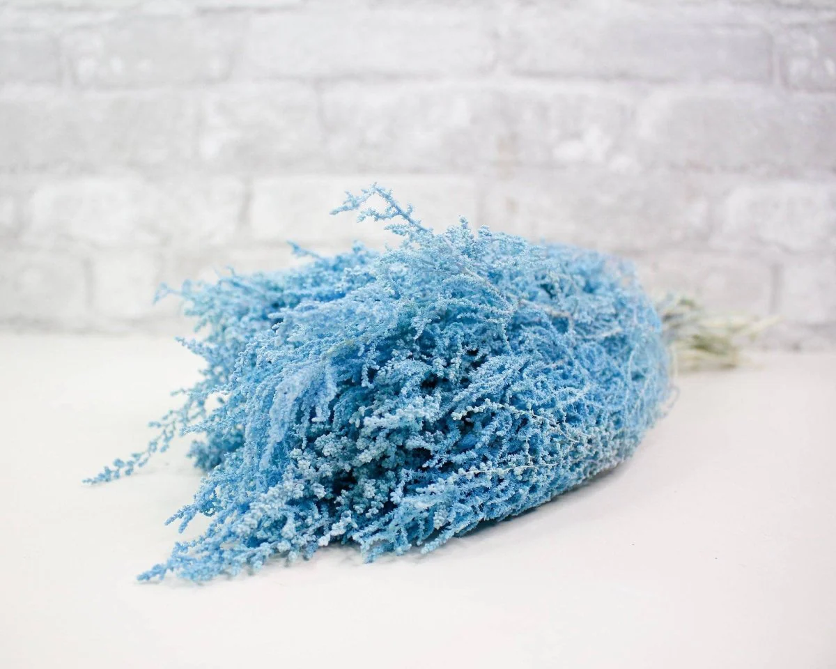 Stoebe - Baby Blue - Image 3