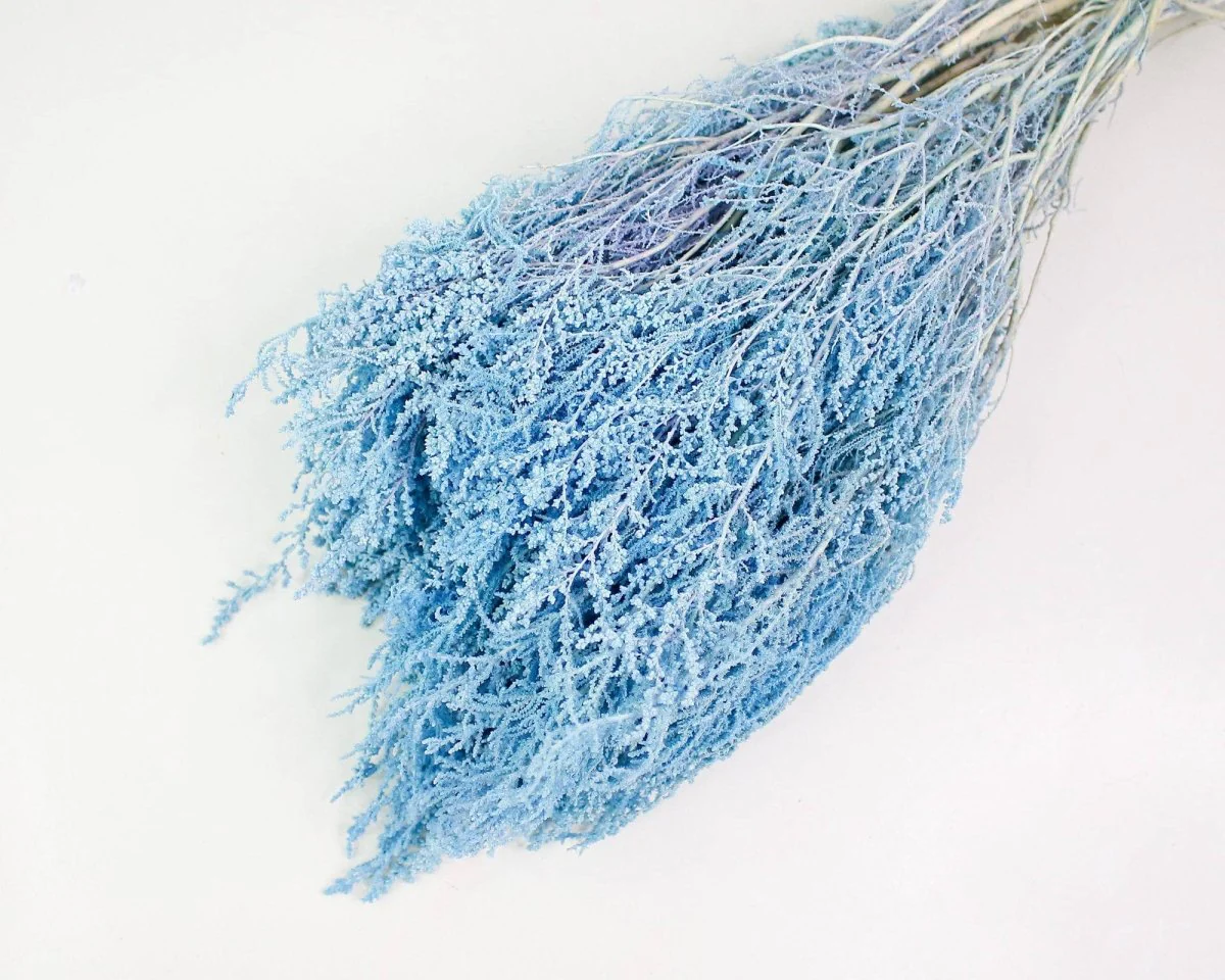 Stoebe - Baby Blue - Image 4