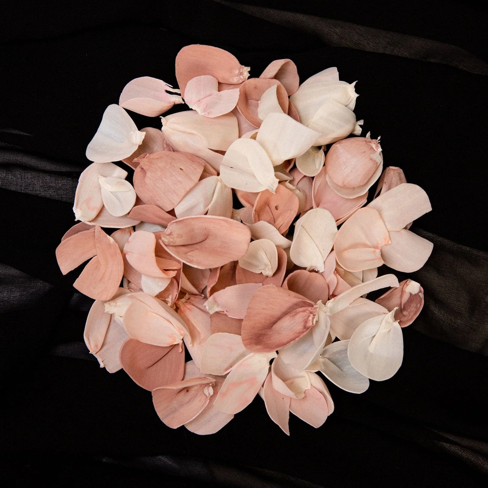 Custom Petals - 100 Pack - Image 5