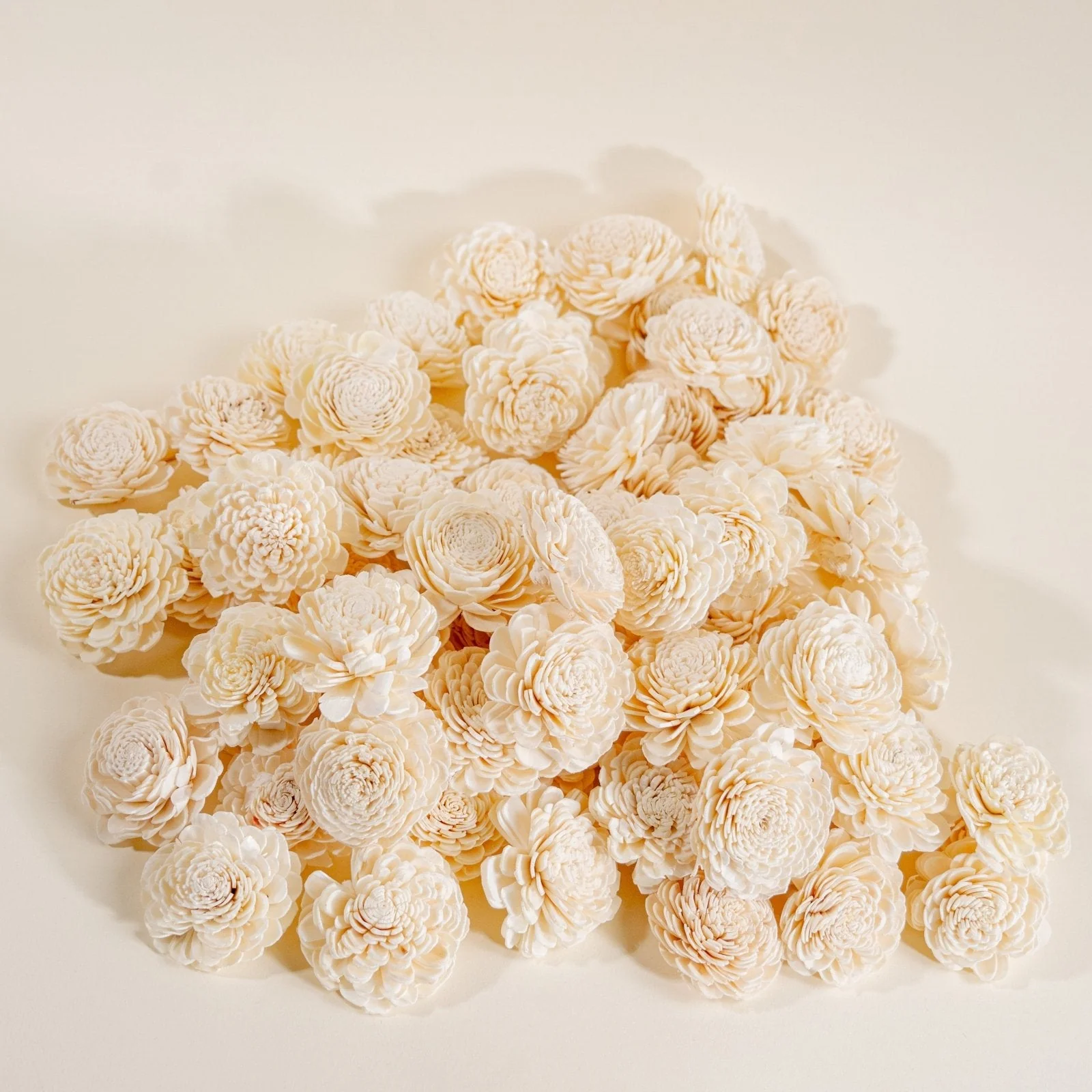 2" Bali - 100 Pack - Image 2