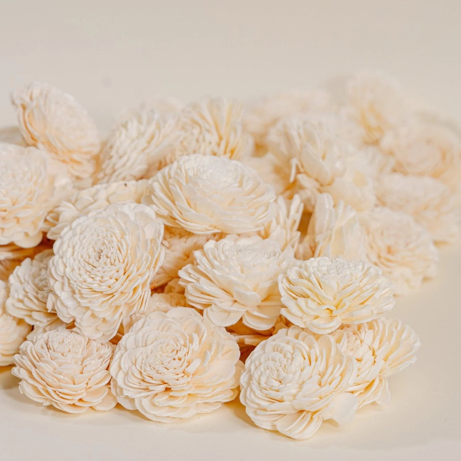 2" Bali - 100 Pack - Image 3
