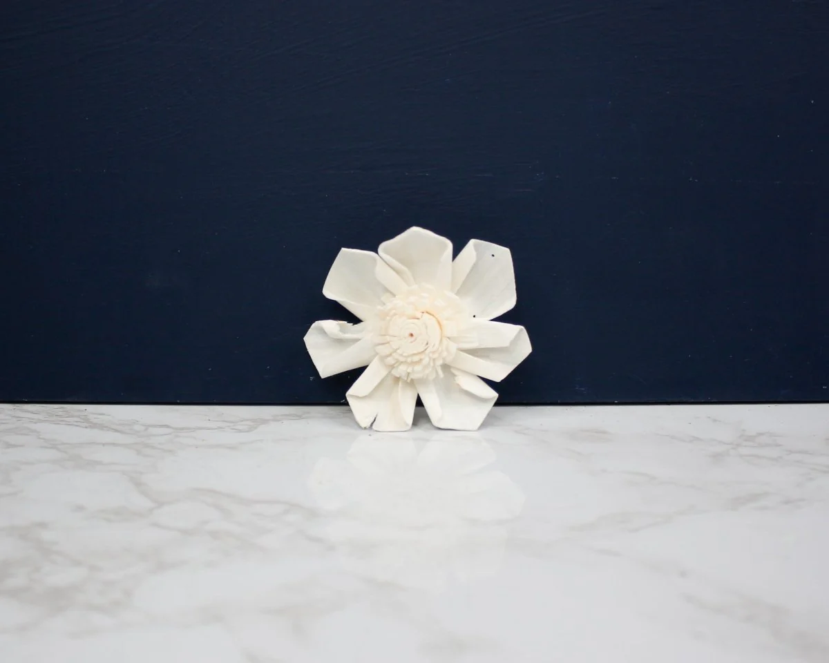 2" Maria (10 Pack) - Image 2