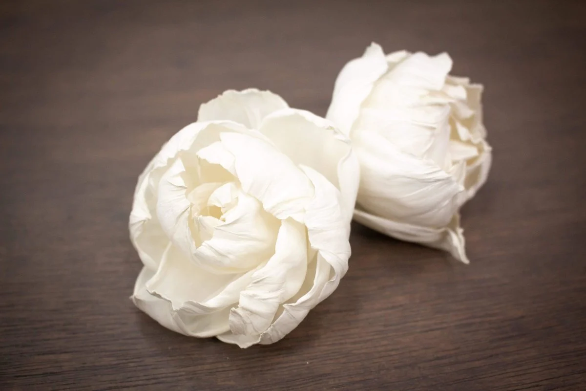 3" Juliet (3 Pack) - Image 2