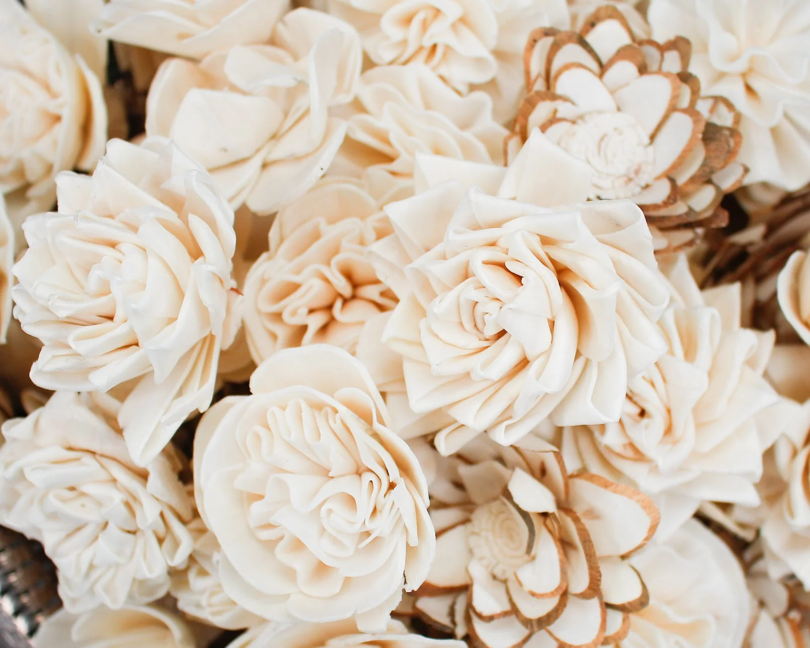 2" 50 Random Flower Assortment - Image 4