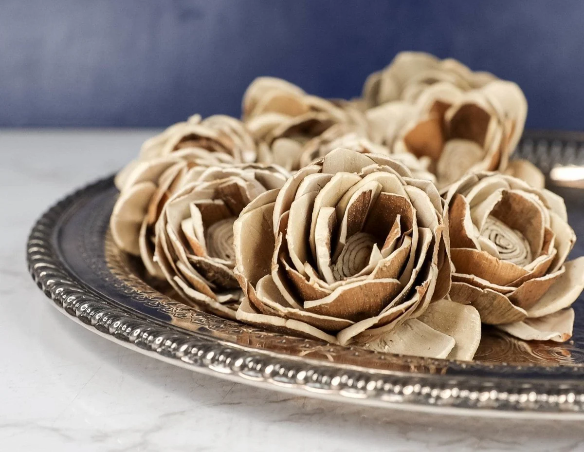 2" Bark Lotus (10 Pack)