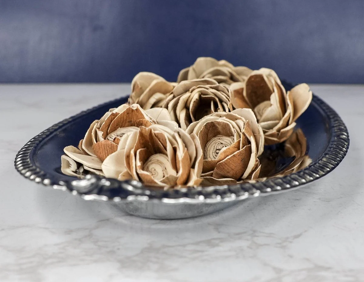 2" Bark Lotus (10 Pack) - Image 3