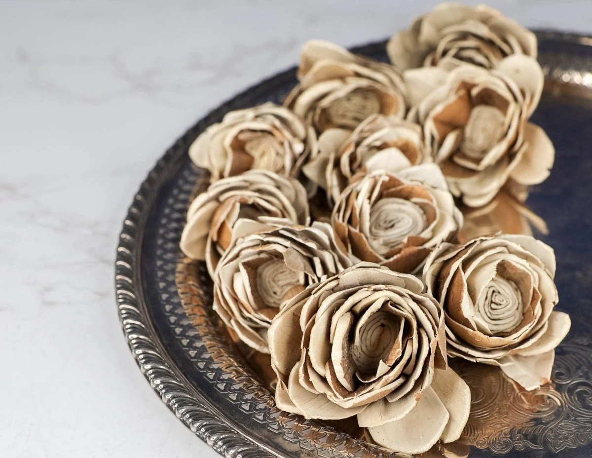 2" Bark Lotus (10 Pack) - Image 4