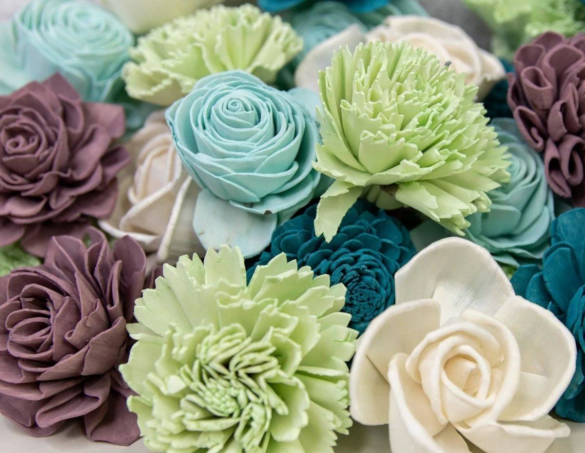 So Succulent Assortment - Image 2