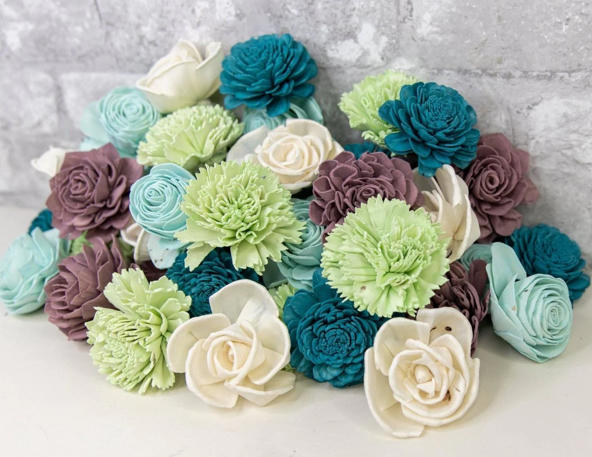 So Succulent Assortment - Image 3