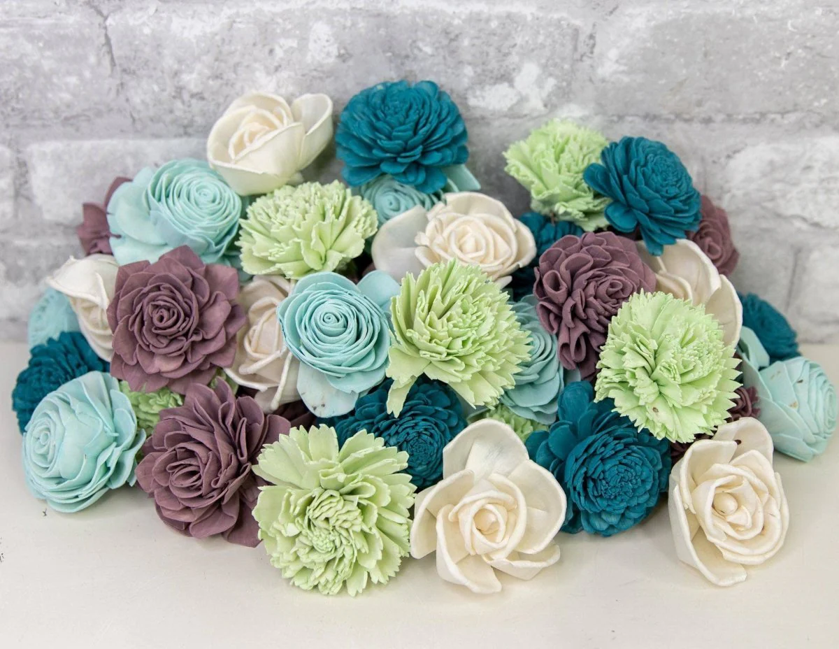 So Succulent Assortment - Image 4