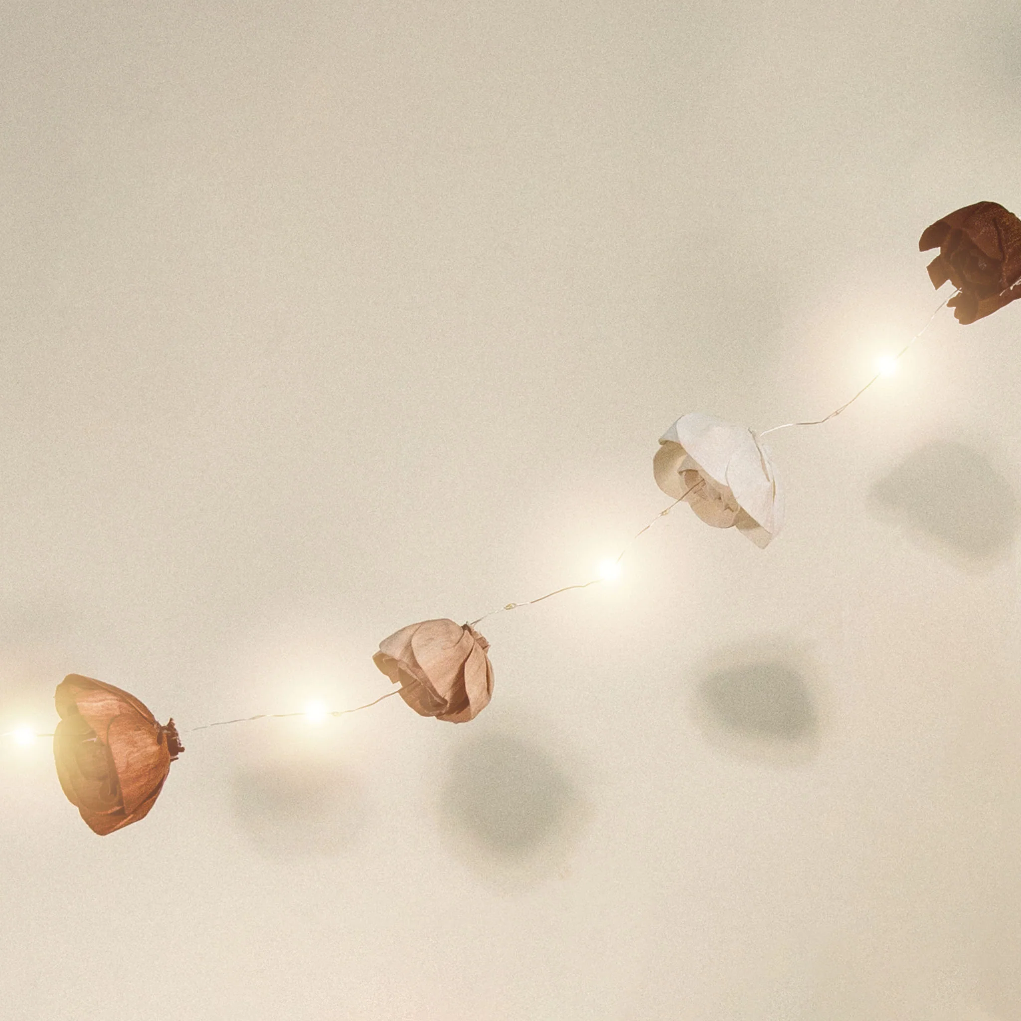 DIY Fall Lights - Image 2
