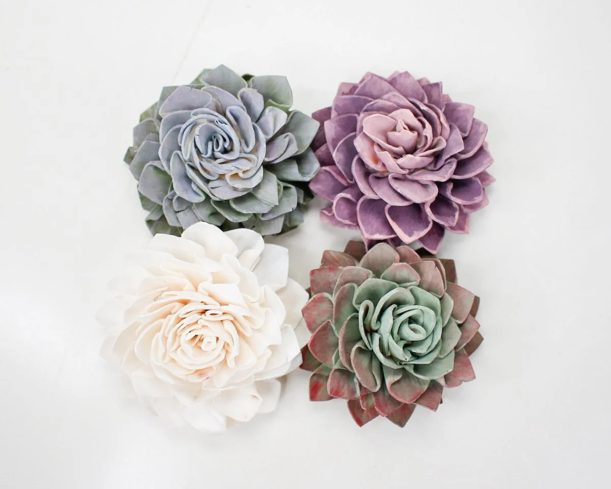 DIY Hand Painted Succulent Assortment - Image 10