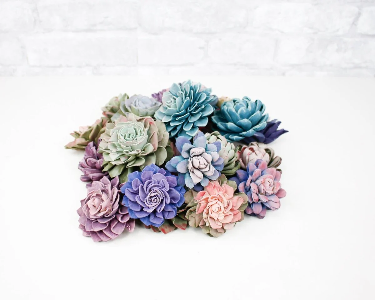 DIY Hand Painted Succulent Assortment - Image 2