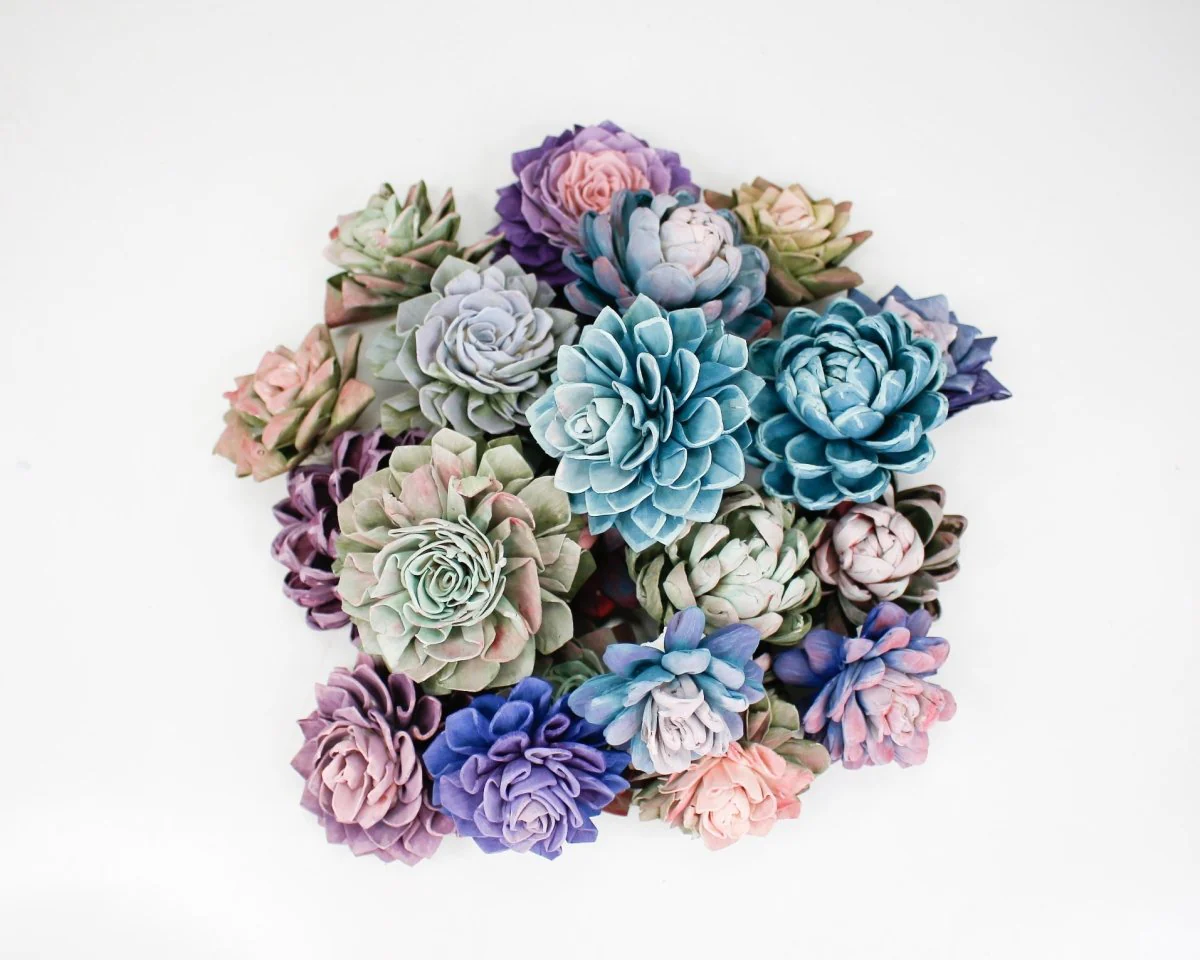 DIY Hand Painted Succulent Assortment - Image 3