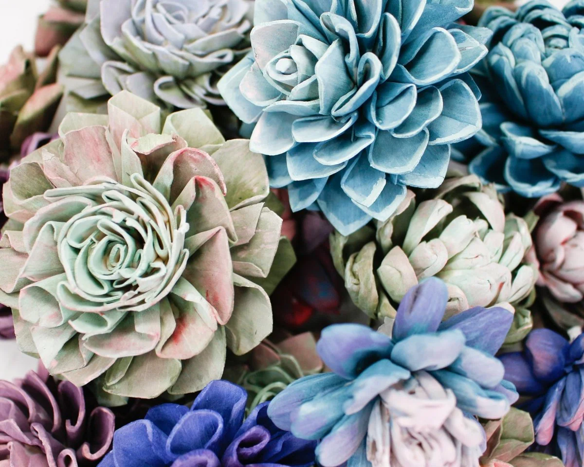 DIY Hand Painted Succulent Assortment - Image 4