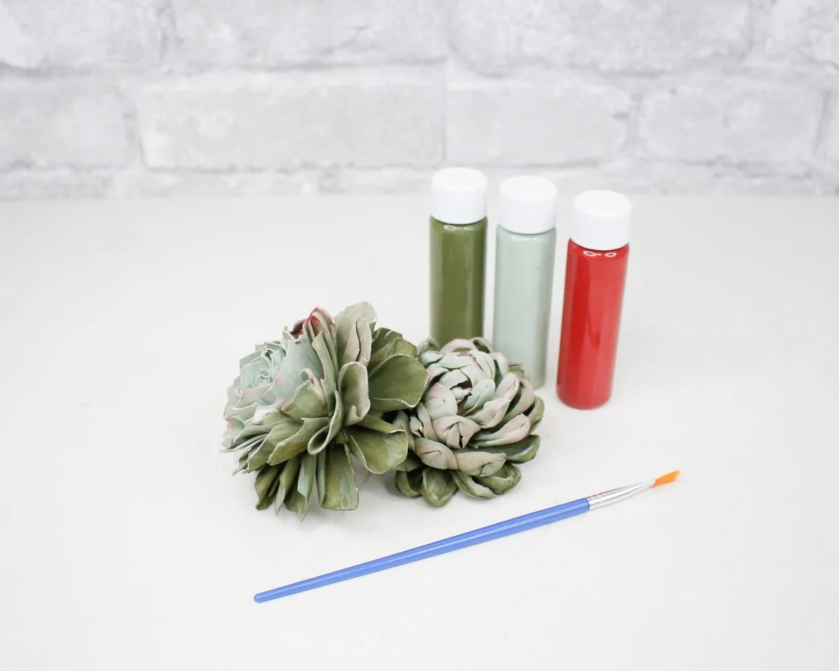 DIY Hand Painted Succulent Assortment - Image 7