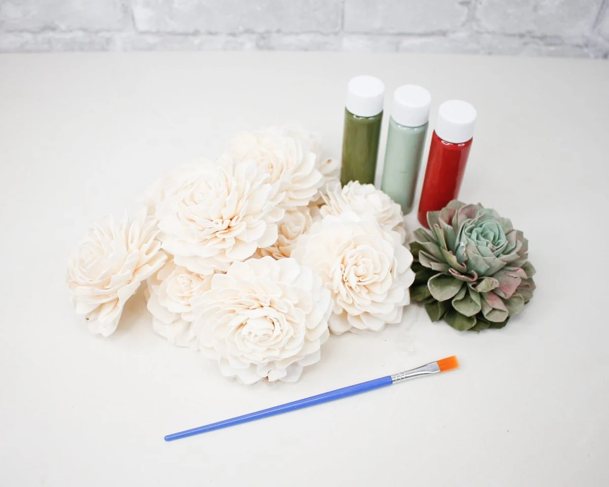 DIY Hand Painted Succulent Assortment - Image 9