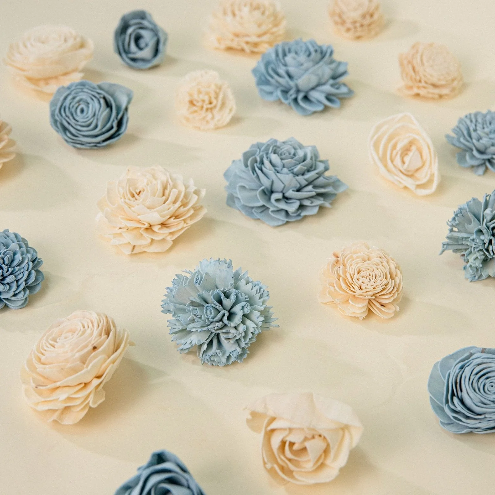 Eloise Dyed Assortment 25 Pack - No Bark - Image 2