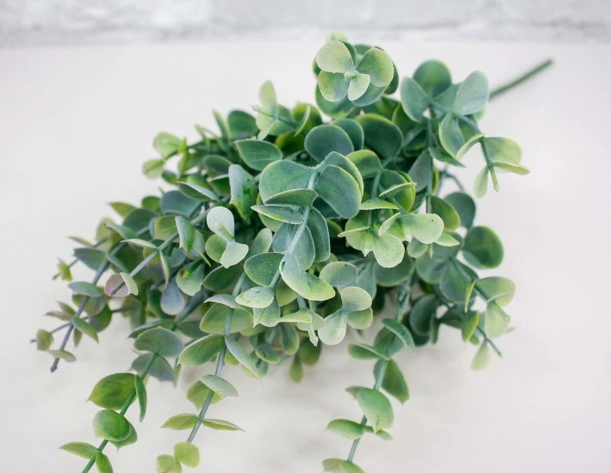 Eucalyptus Bush Spray - Natural - Image 2
