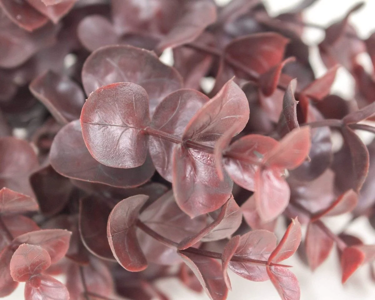Eucalyptus Pick - Burgundy - Image 2
