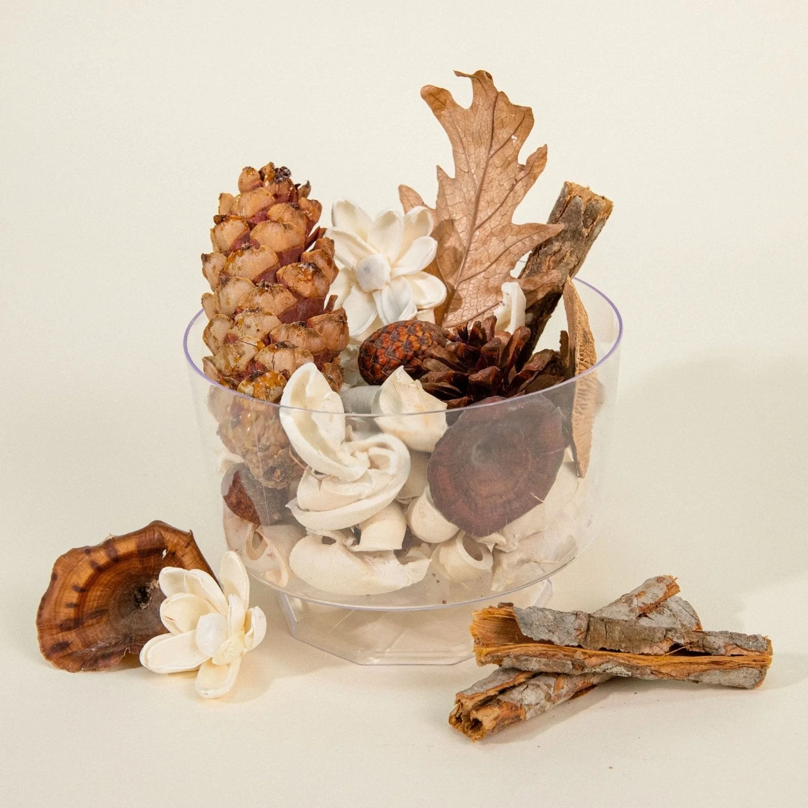 Fall Garden Potpourri - Image 3
