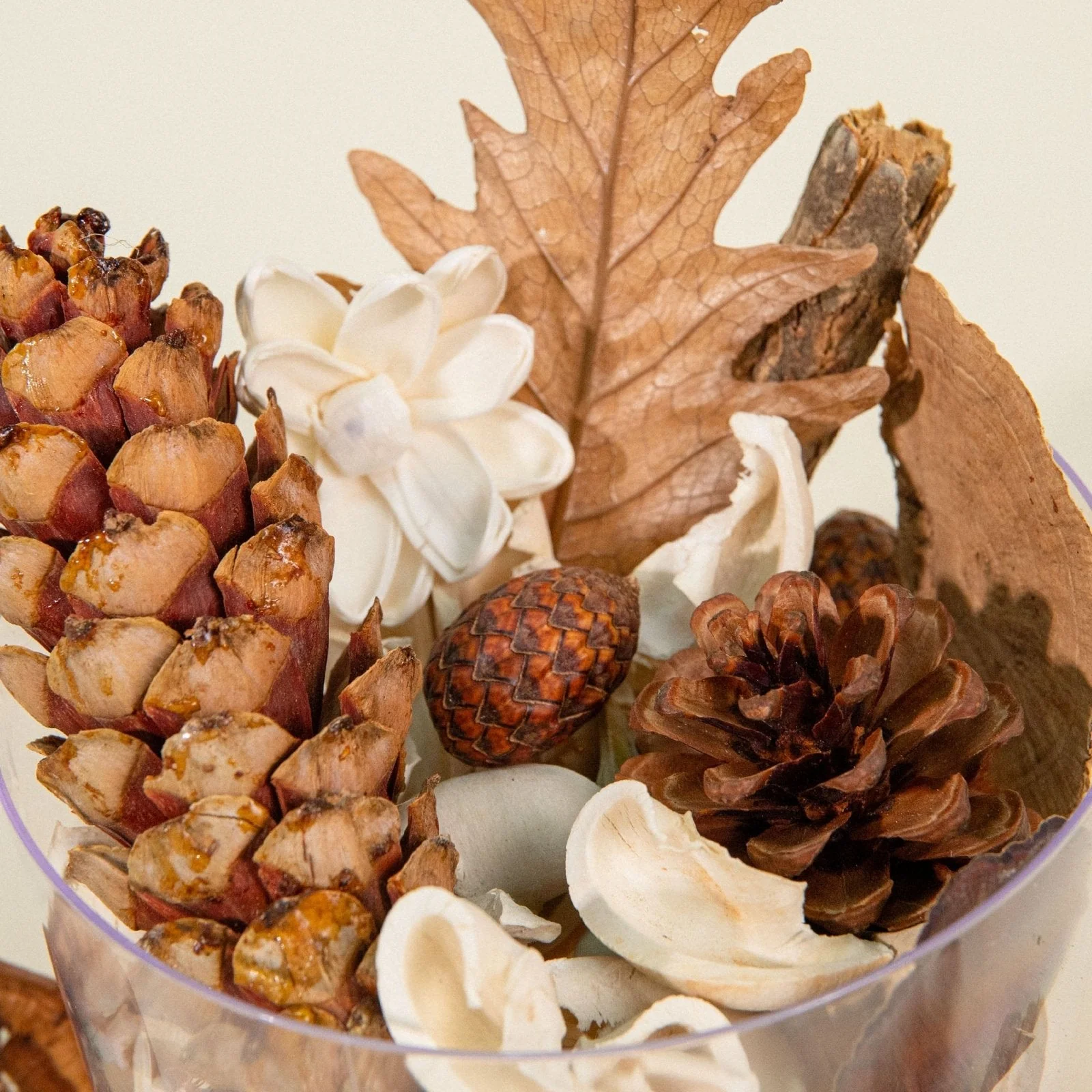 Fall Garden Potpourri - Image 4