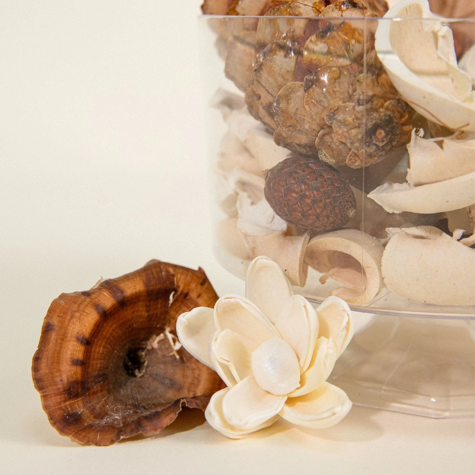 Fall Garden Potpourri - Image 5