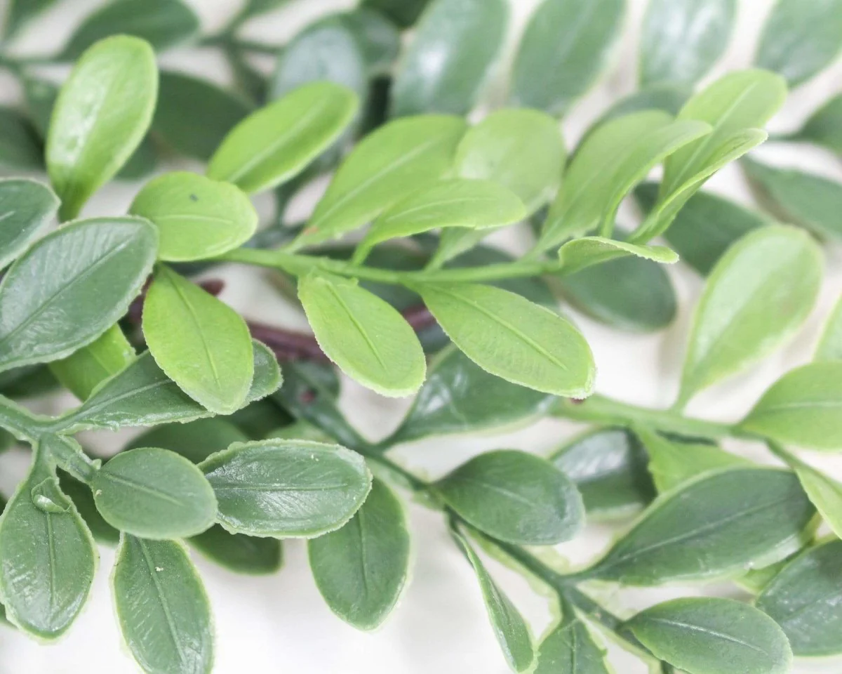 Faux Boxwood Stem - Image 3
