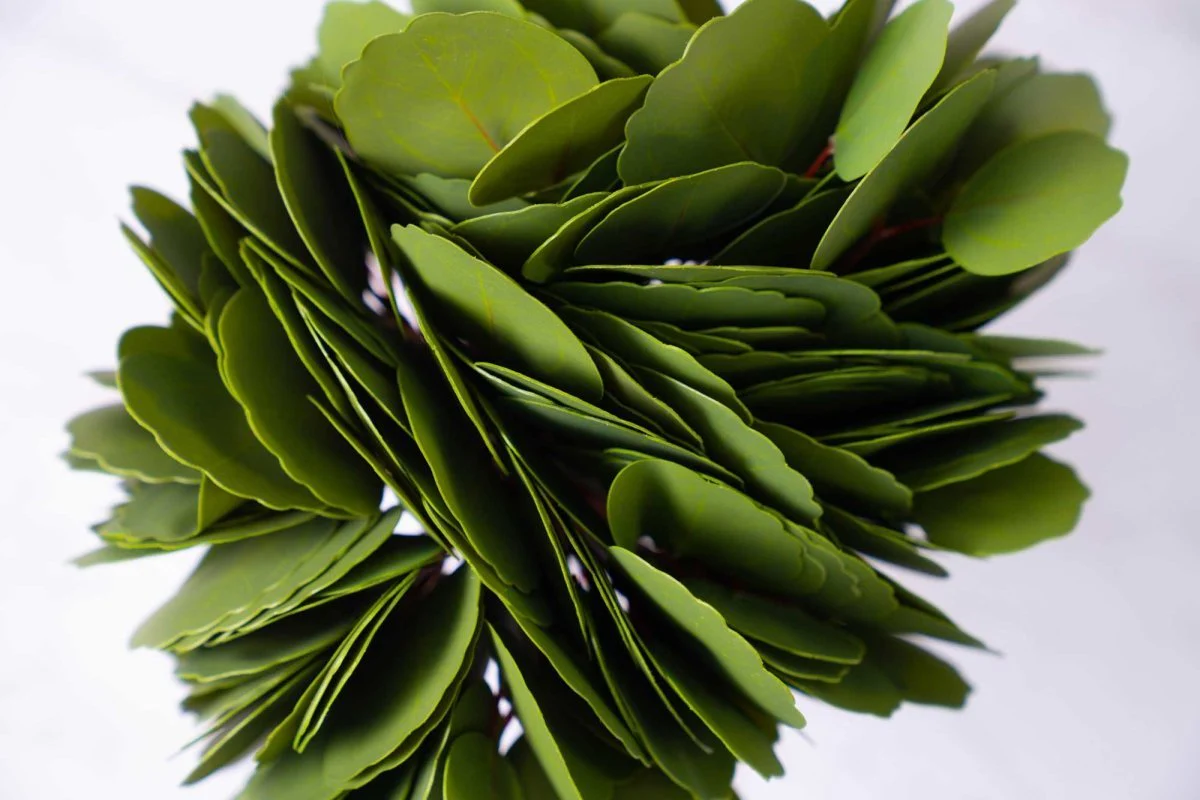 Faux Silver Dollar Eucalyptus - Green - Image 3
