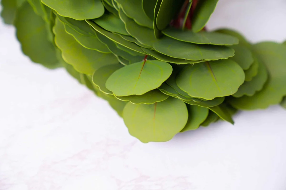 Faux Silver Dollar Eucalyptus - Green - Image 5