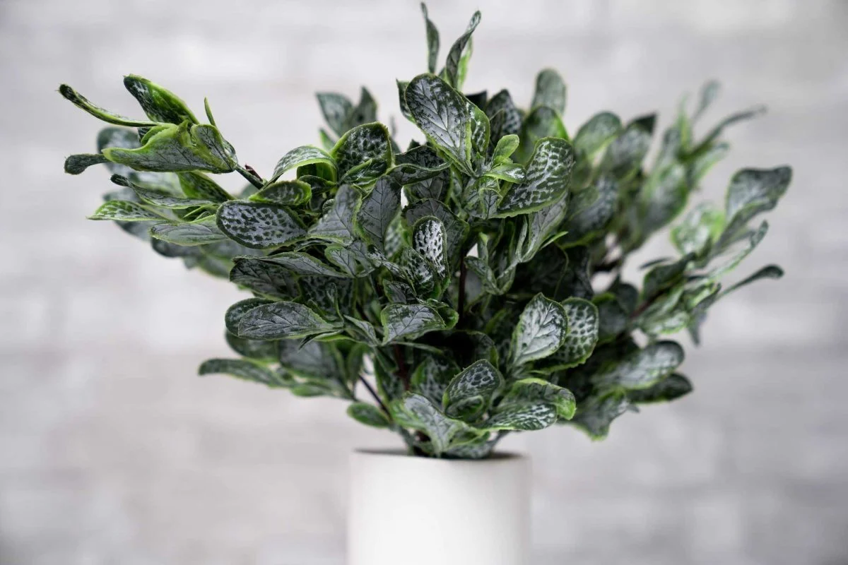 Faux Fiddle Leaf Fig - Deep Green - Image 2