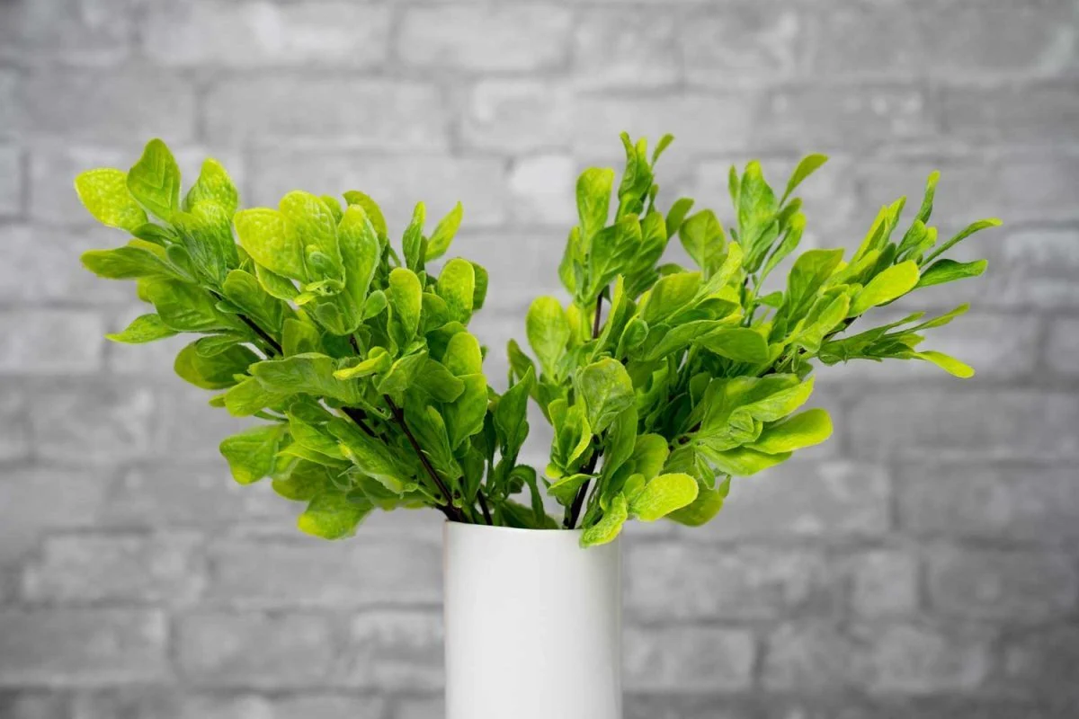 Faux Fiddle Leaf Fig - Light Green - Image 2