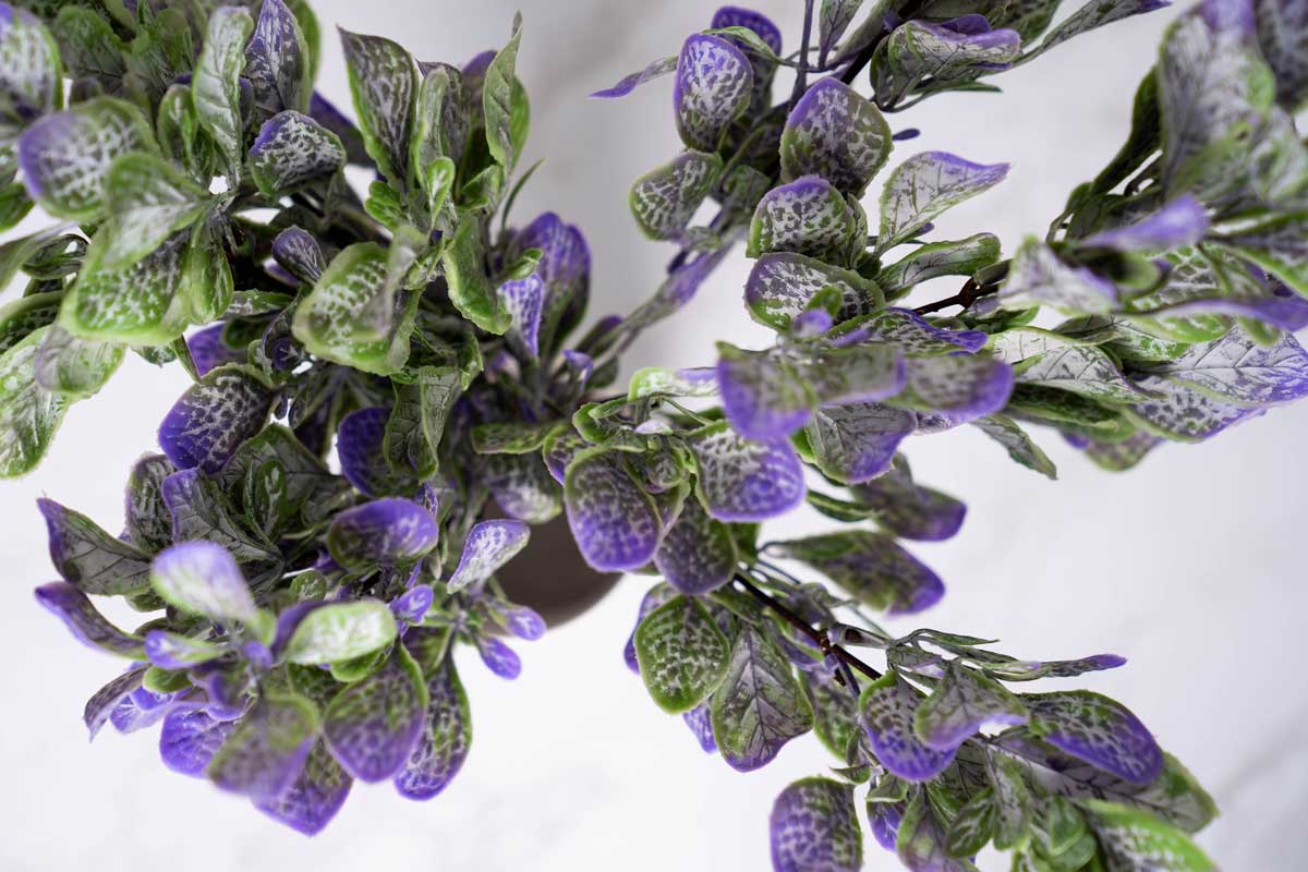 Faux Fiddle Leaf Fig - Purple - Image 4