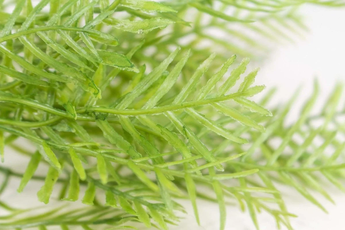 Faux Grass Stems - Image 2
