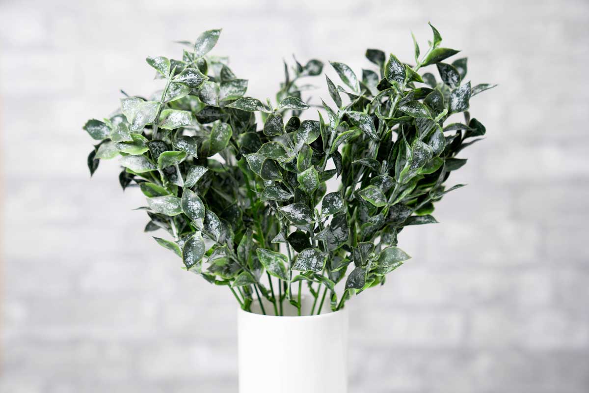Faux Isreali Ruscus - Deep Green - Image 2