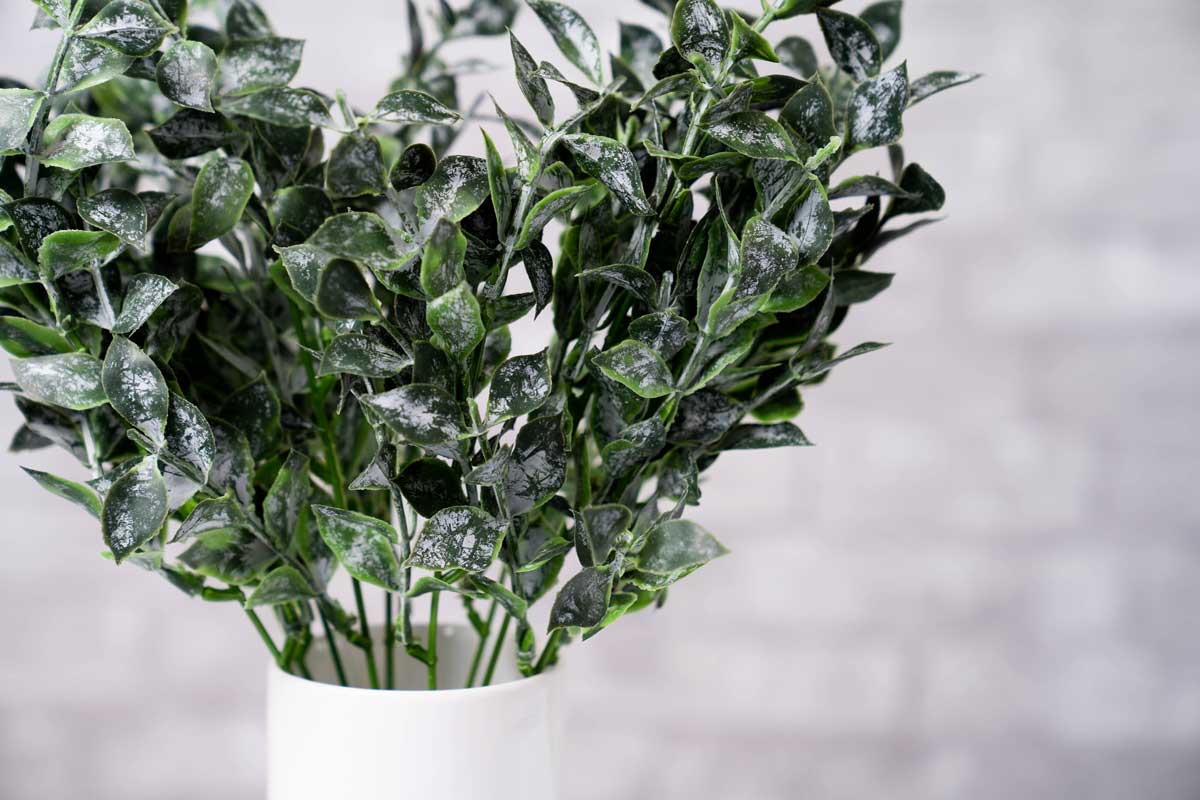 Faux Isreali Ruscus - Deep Green - Image 4