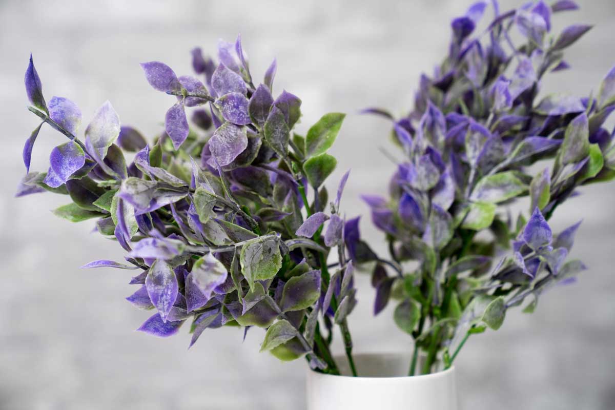 Faux Isreali Ruscus - Purple - Image 2