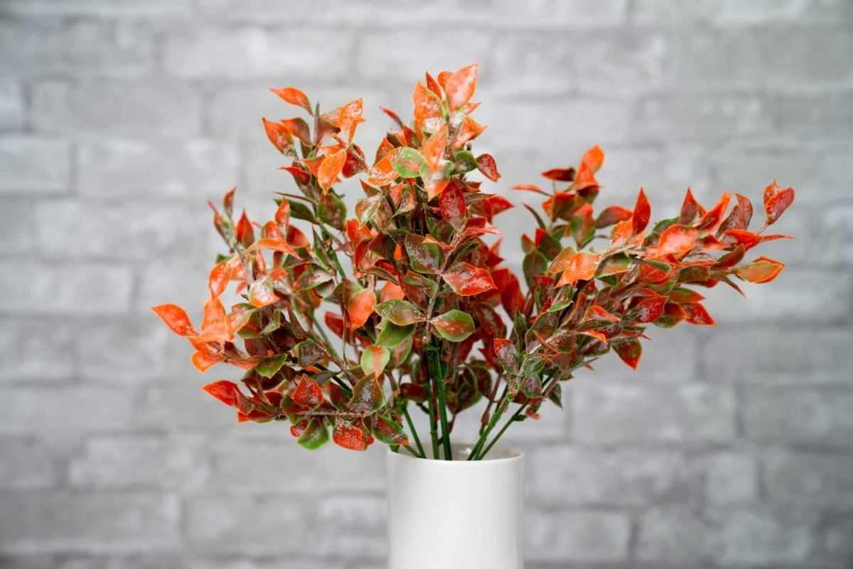 Faux Isreali Ruscus - Red - Image 2