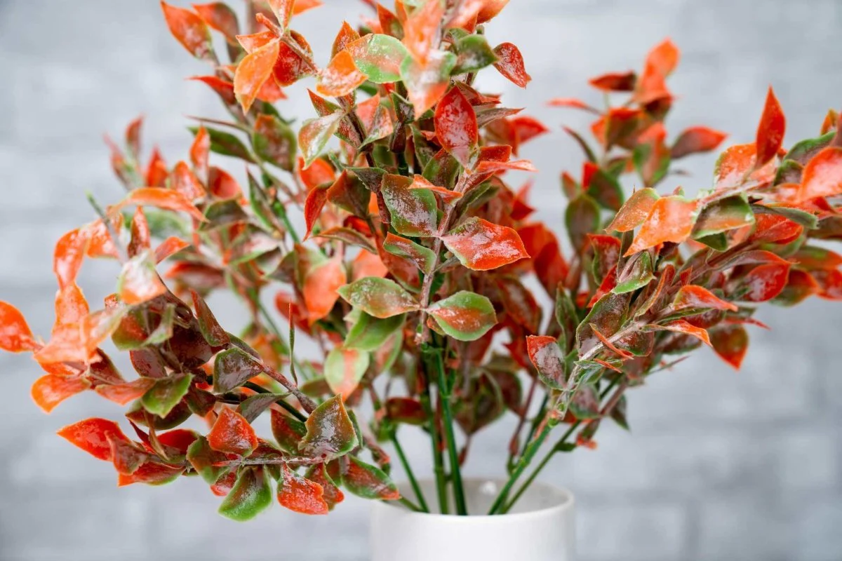 Faux Isreali Ruscus - Red - Image 3