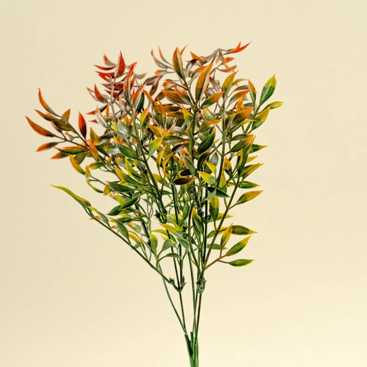 Faux Italian Ruscus - Red - Image 4