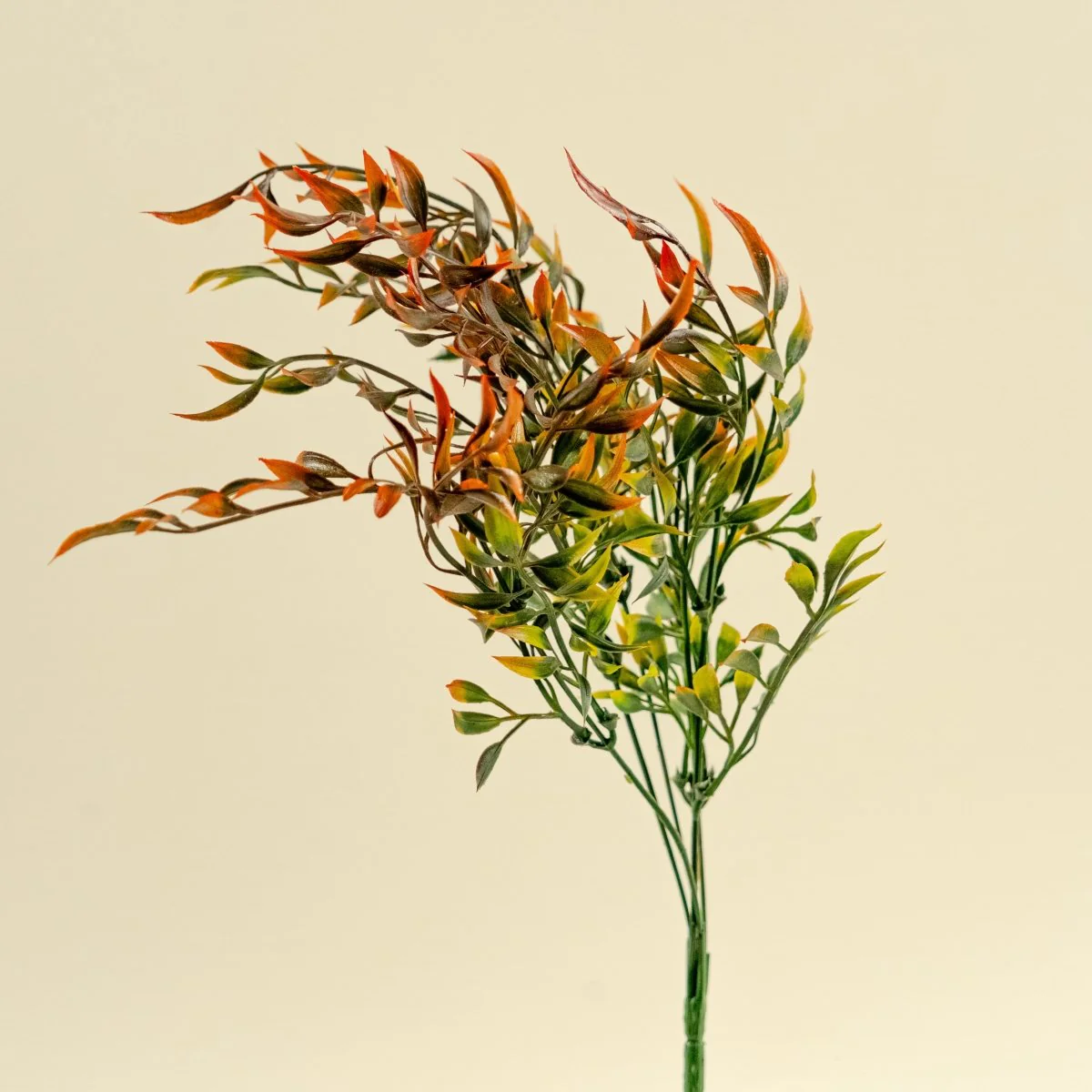 Faux Italian Ruscus - Red - Image 5