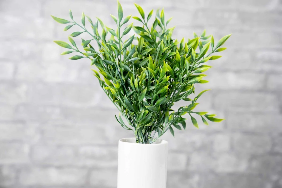 Faux Italian Ruscus - White Green - Image 2