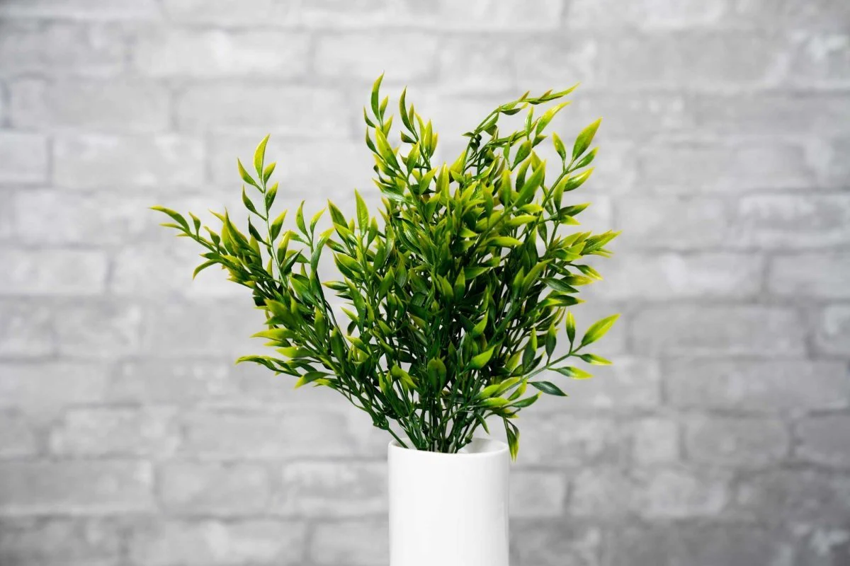 Faux Italian Ruscus - Yellow - Image 2