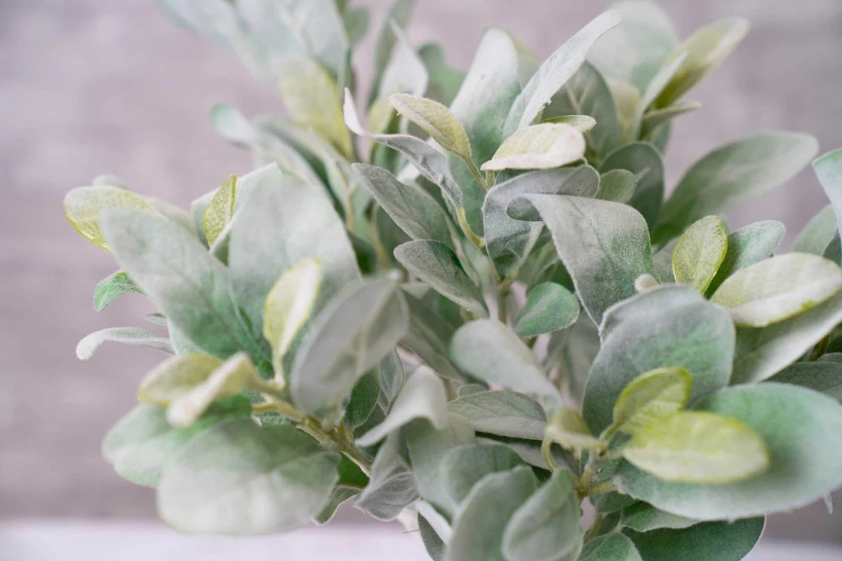 Faux Lamb's Ears - Green - Image 3